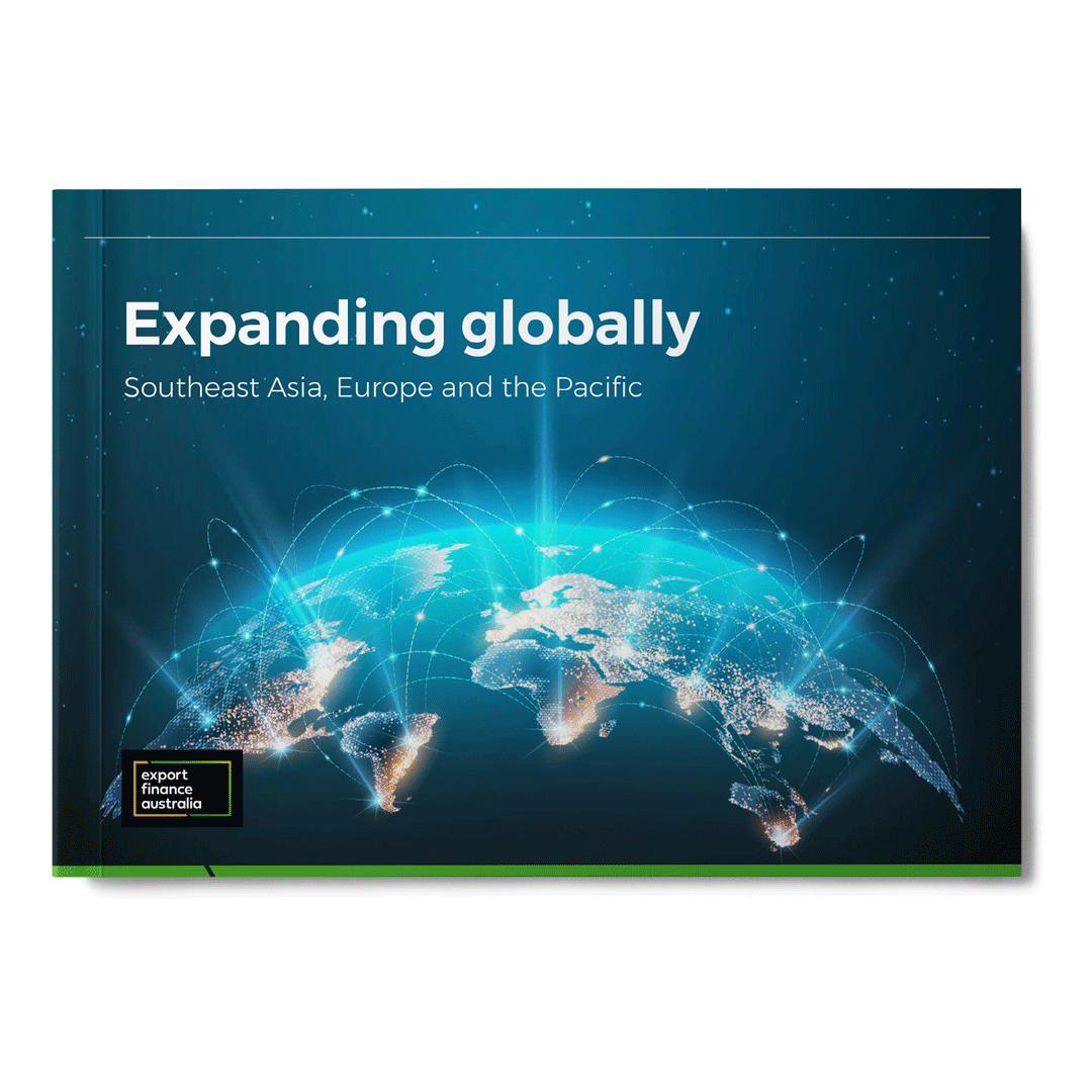 Decoartive only: Expanding globally ebook cover