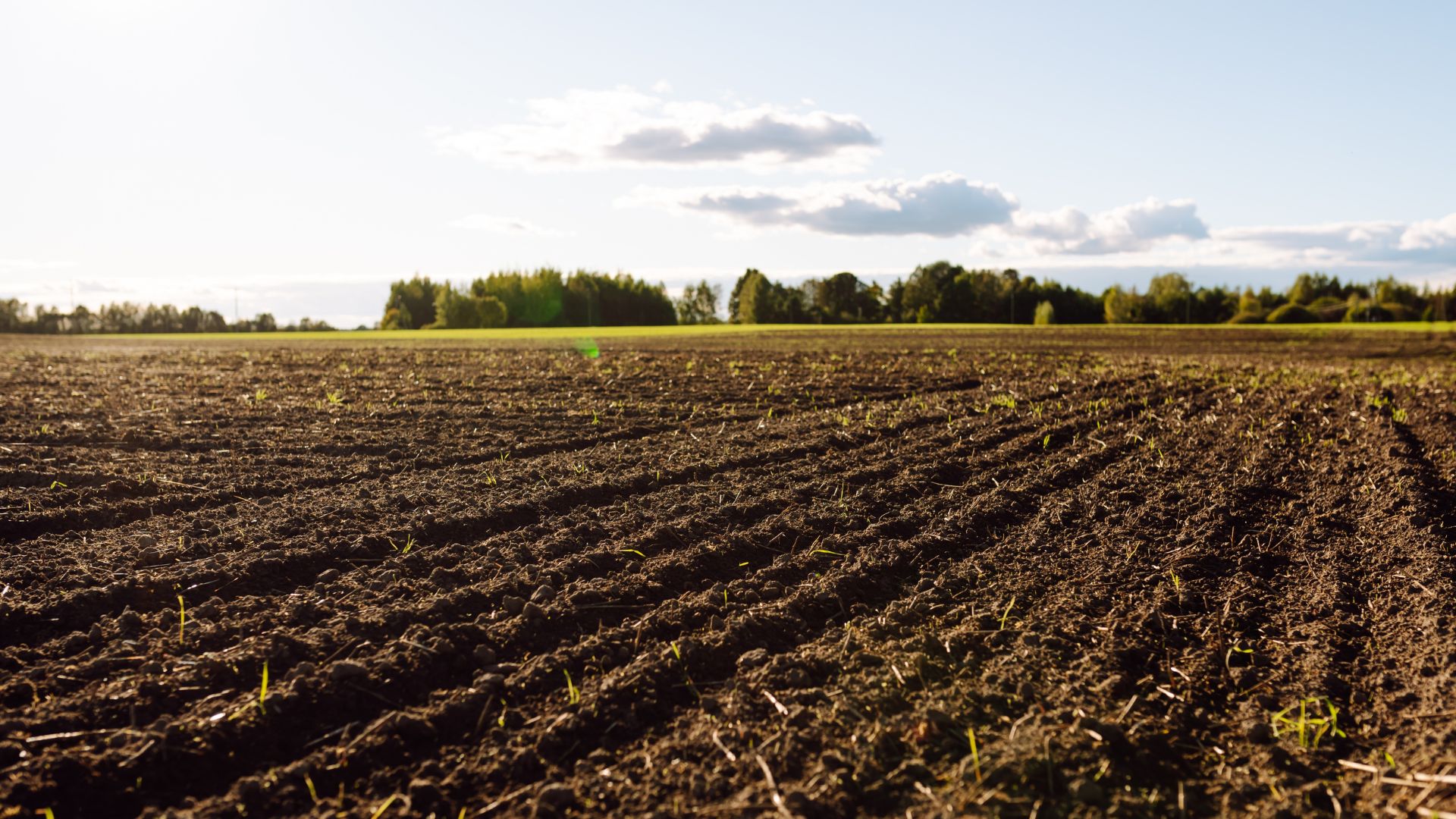 Securing More Fertiliser For Australian Farmers