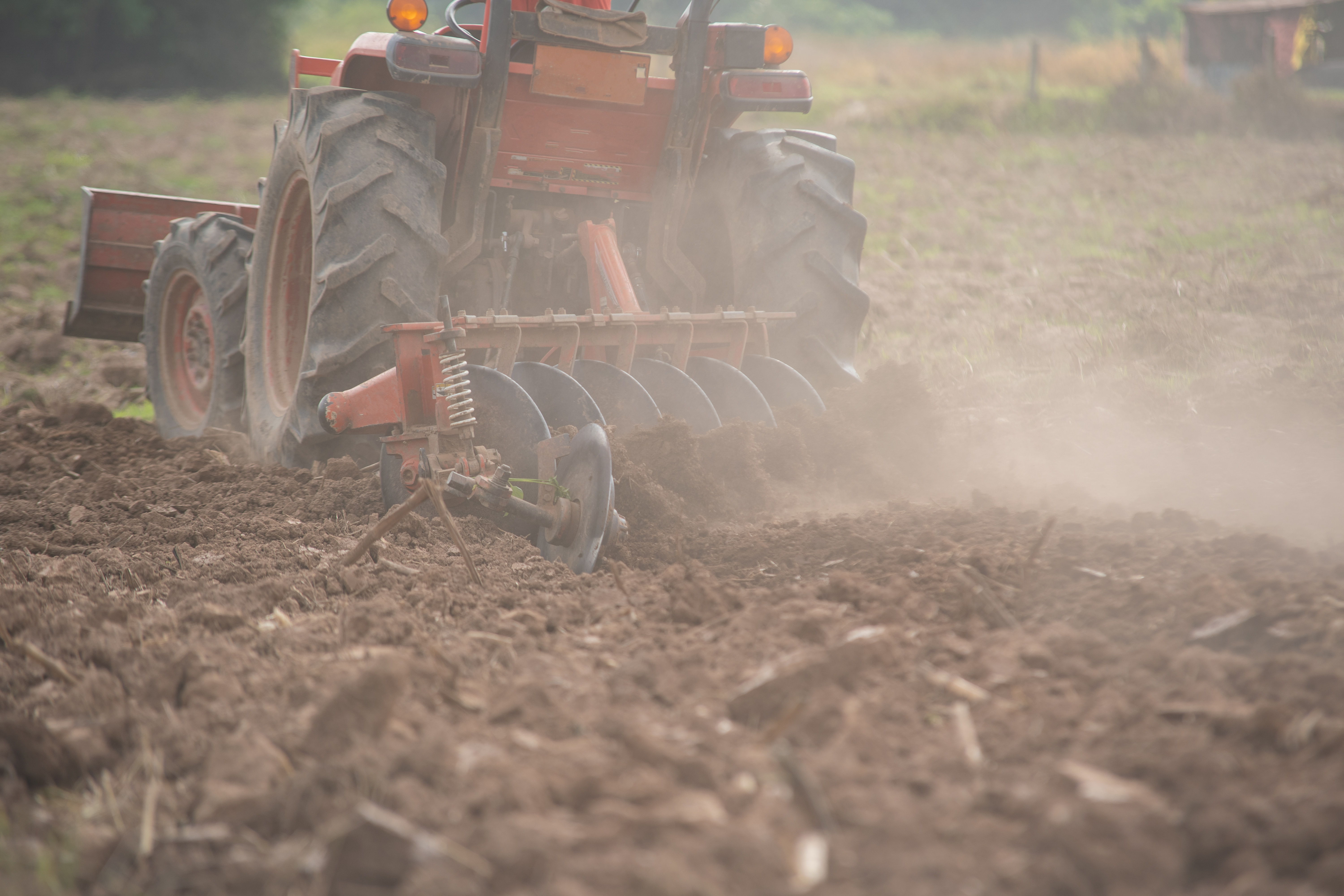 Shutterstock 1216764811