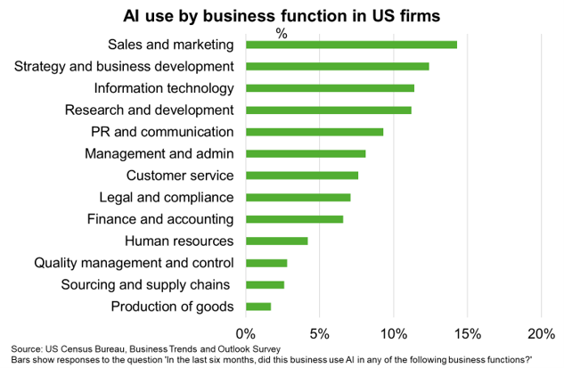 AI use by business function in US firms