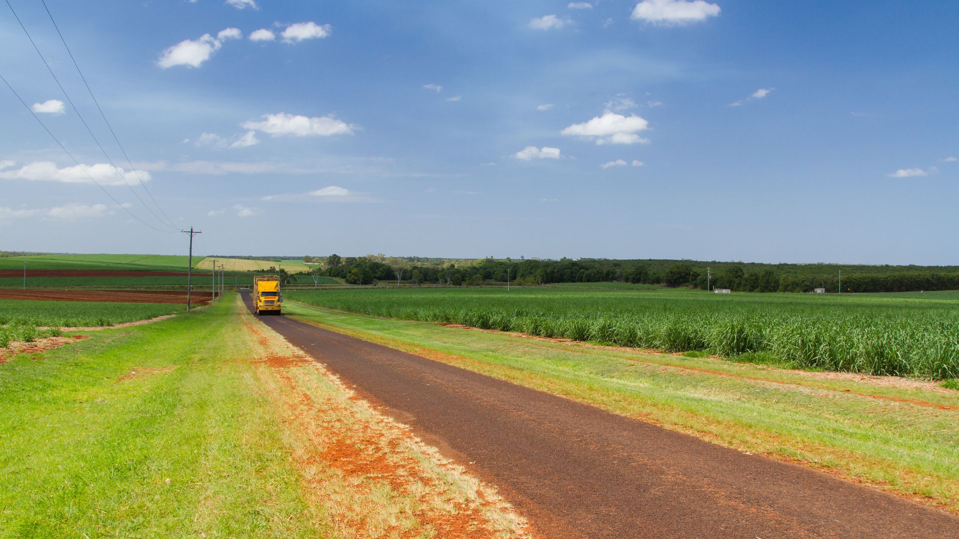 Regional Qld Diesel