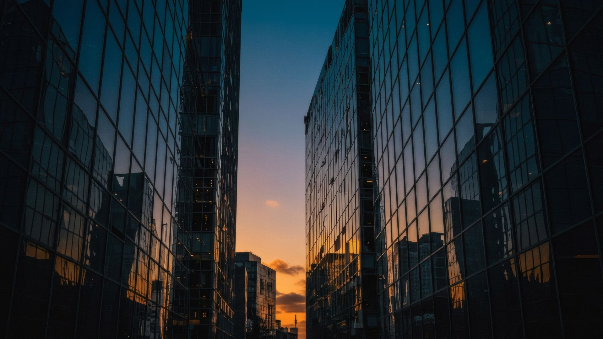 WRD Feb 2026 Website Cover