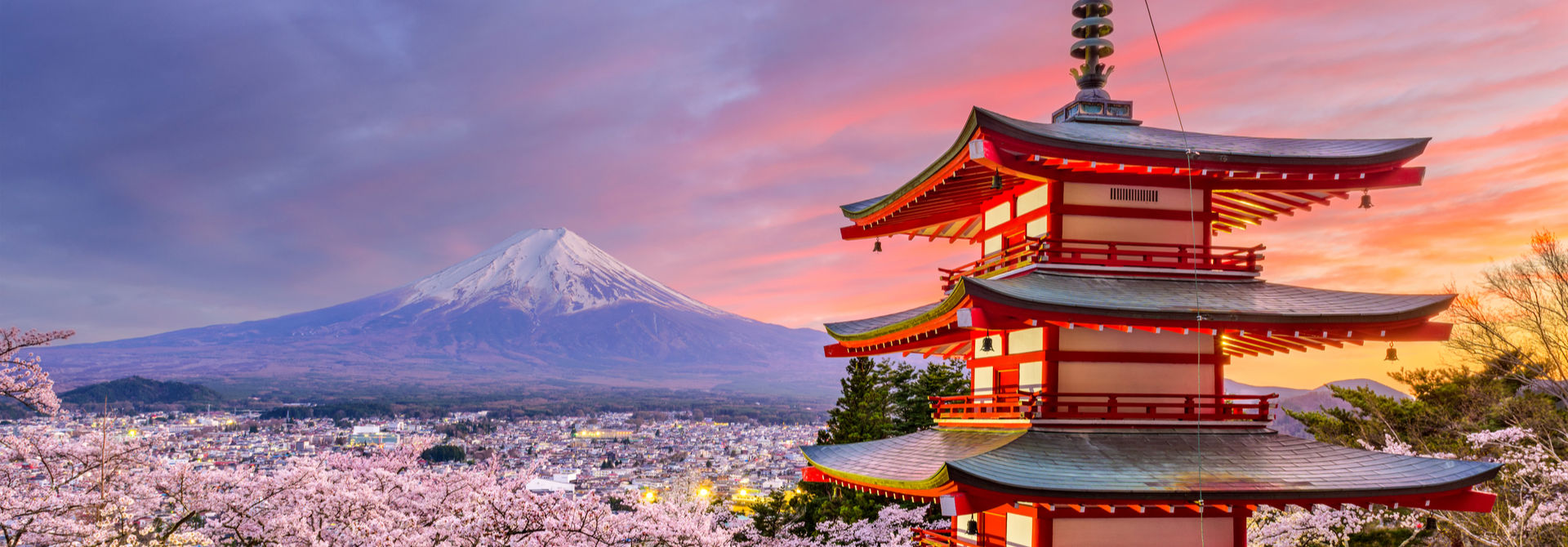 World Risk Developments August 2019