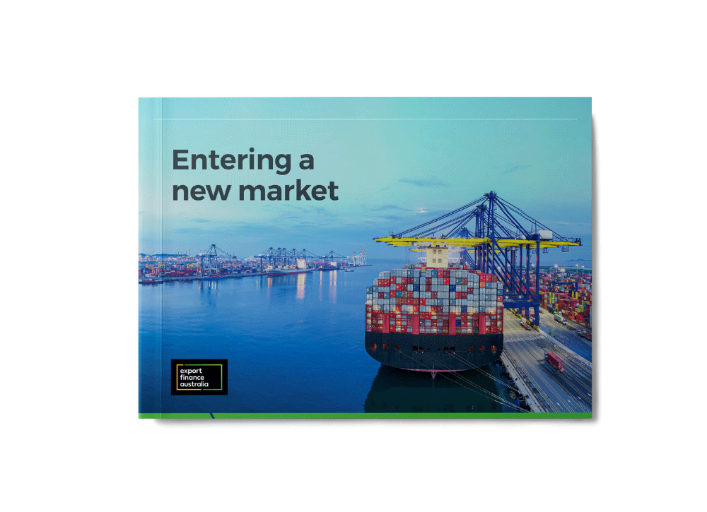 entering a new market ebook cover