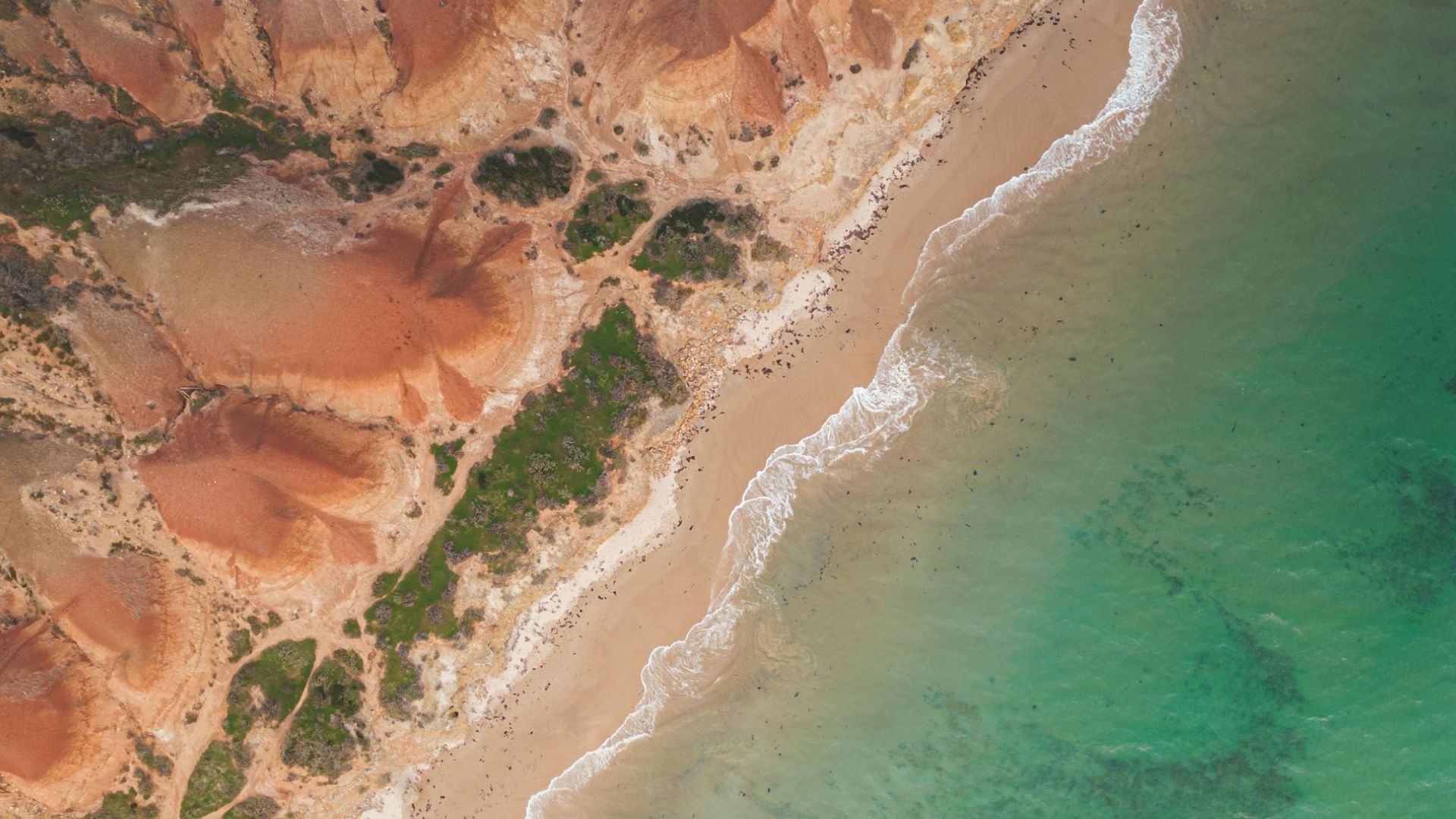 Commonwealth Climate Disclosure